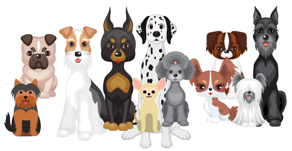 Drawn Image of several dog breeds