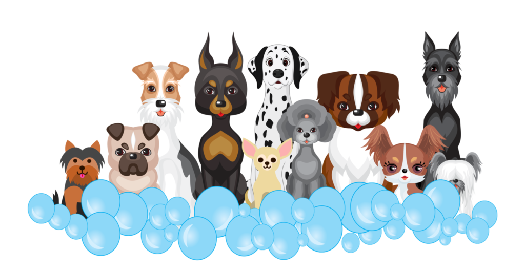 Drawn Image of several dog breeds