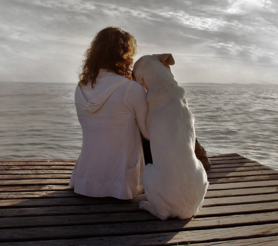 woman and her dog admire together the scenery