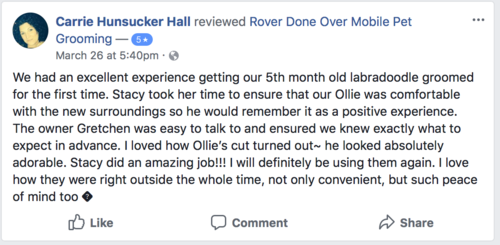 Review of Carrie Hunsucker Hall