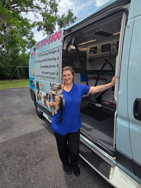 Kelsey and pomeranian dog outside van
